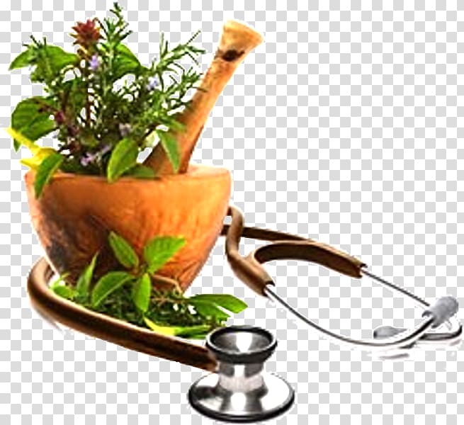Herbalism Medicine Health Green Acupuncture, health transparent background PNG clipart