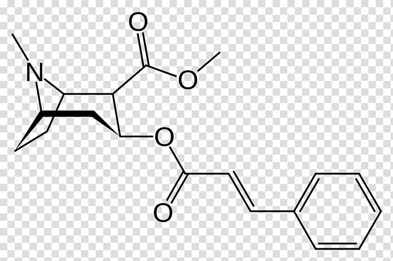Methylecgonine cinnamate Tropane alkaloid Structure Cocaine, others transparent background PNG clipart