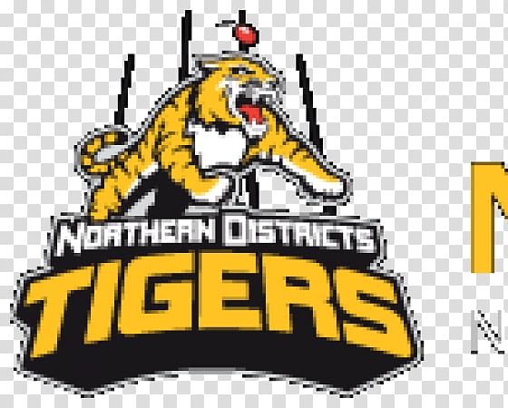 South Coast Australian Football League Australian rules football Northern Districts Tigers Football team, tiger transparent background PNG clipart