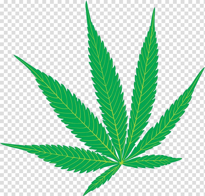 Cannabis leaf , Cannabis sativa Marijuana Hemp , Cannabis leaves ...