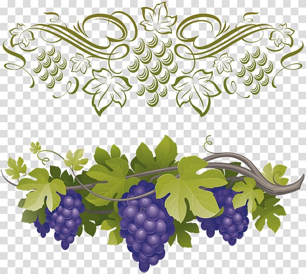 Grape , grape transparent background PNG clipart