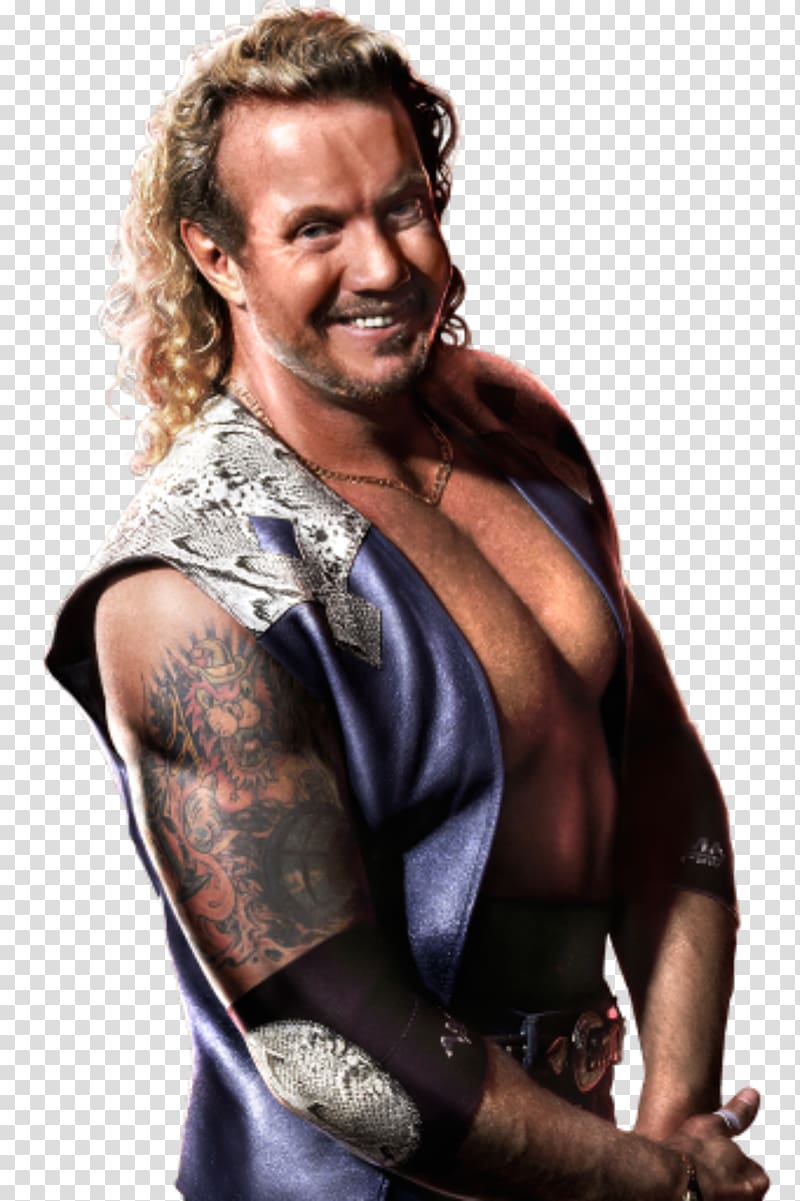 Diamond Dallas Page WWE 2K15 WWE 2K16 WWE 2K14 WWE Superstars, wwe transparent background PNG clipart