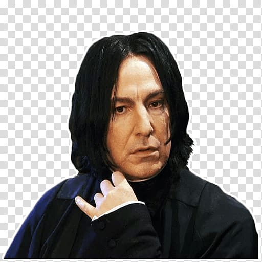 Professor Severus Snape Remus Lupin Bellatrix Lestrange Hermione Granger Fictional universe of Harry Potter, meme transparent background PNG clipart