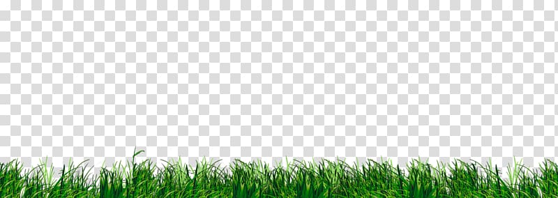 Lawn Wheatgrass Grassland Crop Sky plc, herbe transparent background PNG clipart