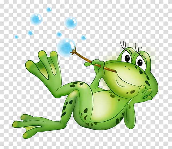 Frog , Yilbaşi Ağaci transparent background PNG clipart