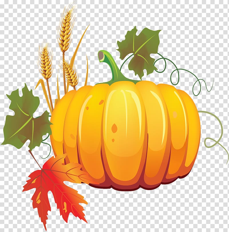 Pumpkin Autumn Vegetable Vegetarian cuisine , pumpkin transparent background PNG clipart