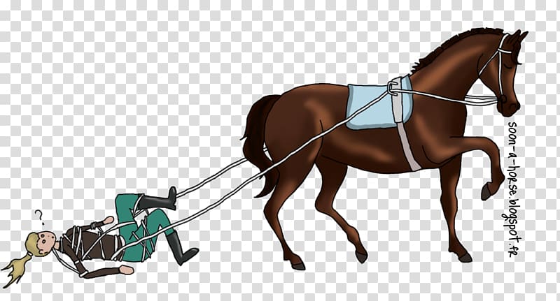 Horse English riding Les longues rênes Bridle Rein, horse transparent background PNG clipart