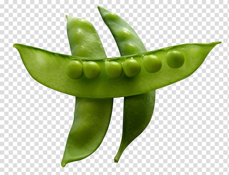 three green snow peas illustration, Snow Peas transparent background PNG clipart