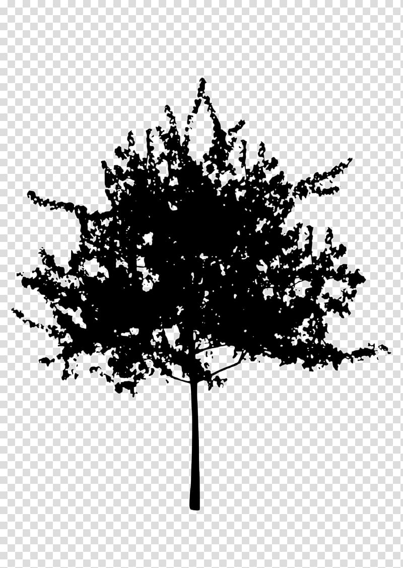 Tree Silhouette , Silhouette Trees transparent background PNG clipart