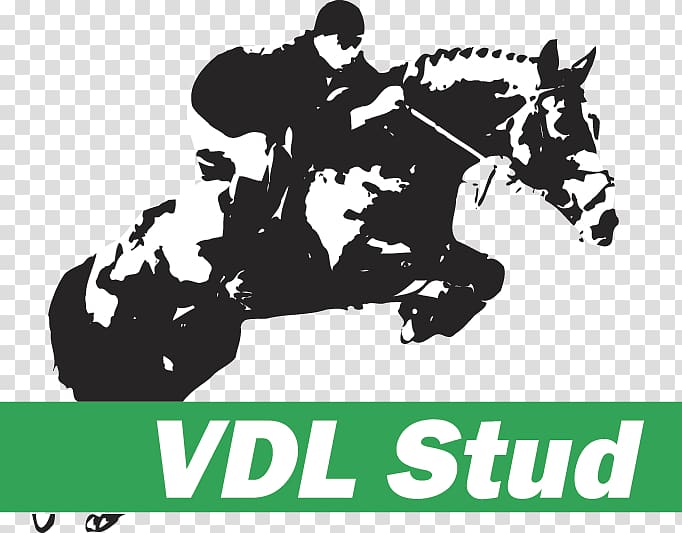 VDL Stud Horse Leeuwarden VDL Groep Bearsterdyk, horse transparent background PNG clipart
