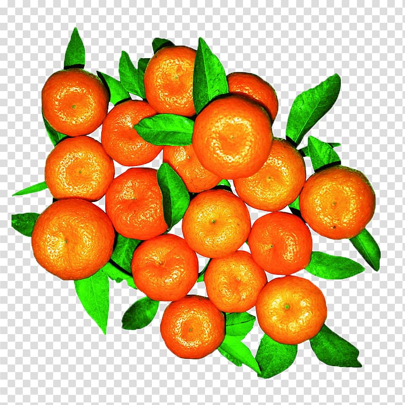 Mandarin orange Citrus leiocarpa Tangerine Fruit, Sand candy transparent background PNG clipart