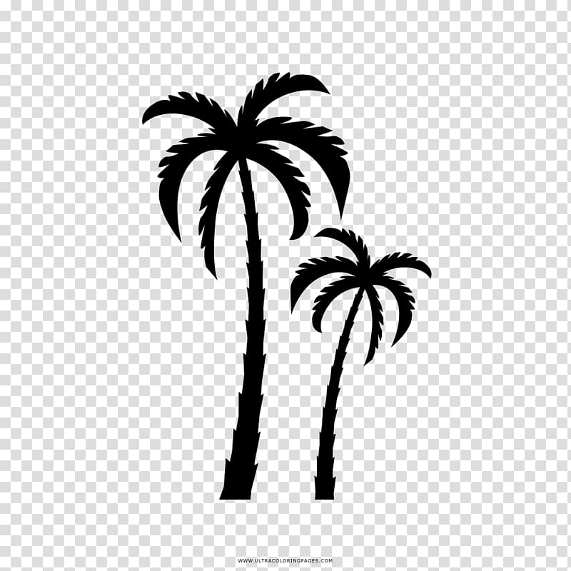 Drawing Coloring book Arecaceae, Silhouette transparent background PNG clipart