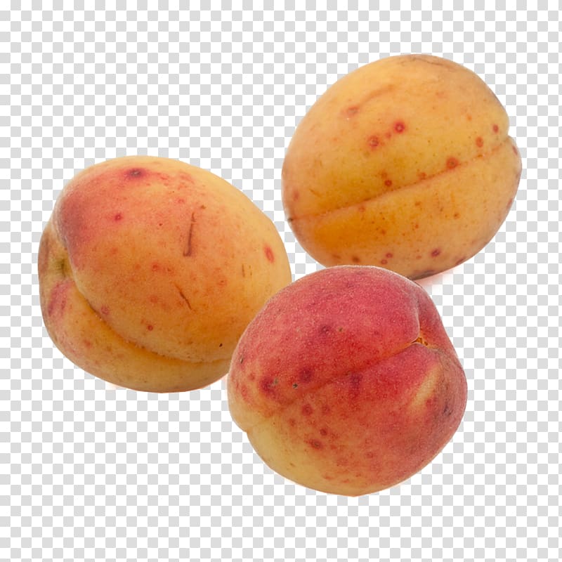 Organic food Apricot Fruit Peach, Ripe apricot transparent background PNG clipart