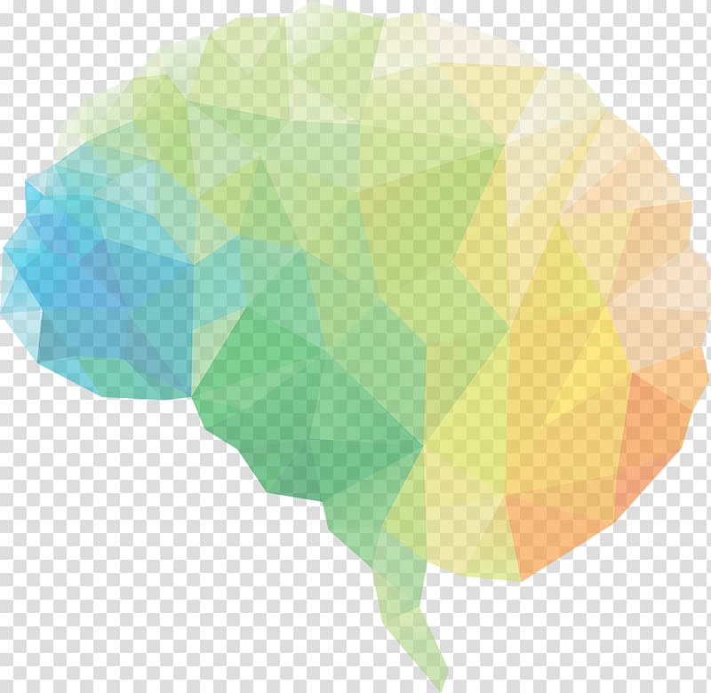 yellow and green brain illustration, Human brain Neuroscience Brain damage Brain injury, Brain transparent background PNG clipart
