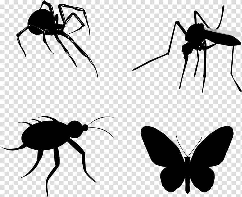 Insect Silhouette Butterfly Euclidean , Insect Silhouettes transparent background PNG clipart