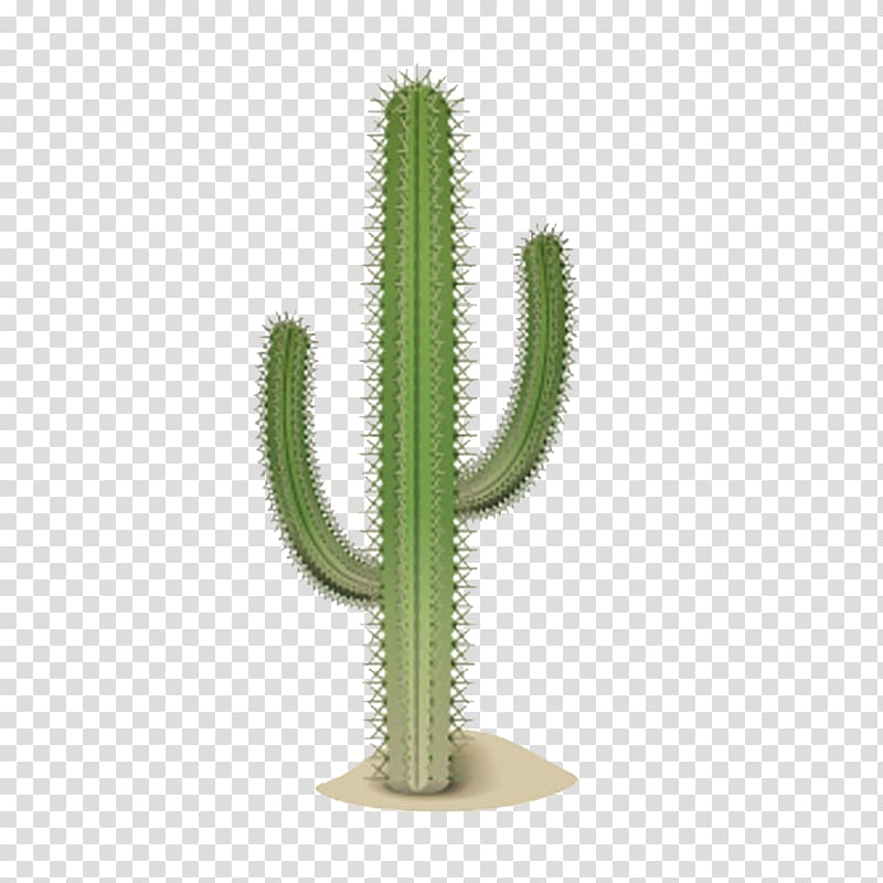 Cactaceae Google Desert , cactus transparent background PNG clipart