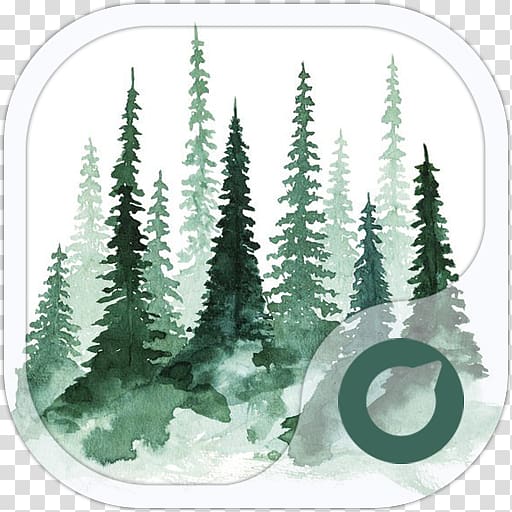 Study of a Tree Pine Watercolor painting, tree transparent background PNG clipart