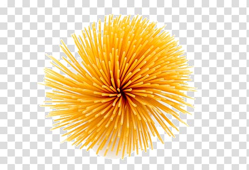 uncooked pasta illustration, Spaghetti transparent background PNG clipart