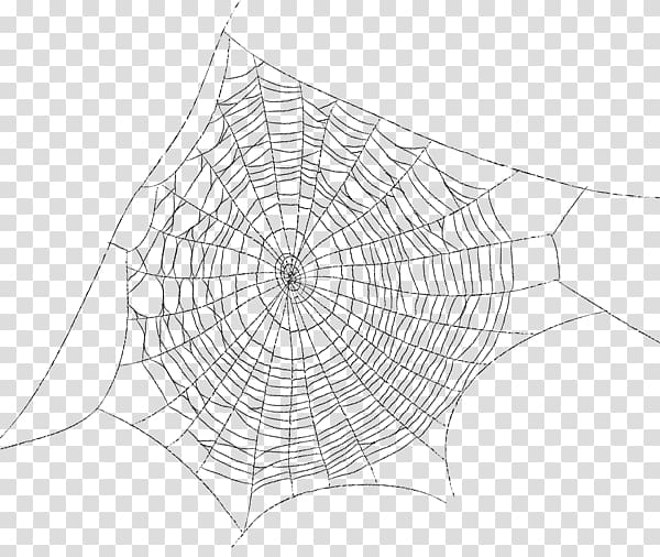 Spider web Drawing, spider transparent background PNG clipart