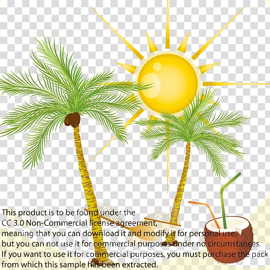 Arecaceae Coconut Euclidean , Coco Sun Poster transparent background PNG clipart