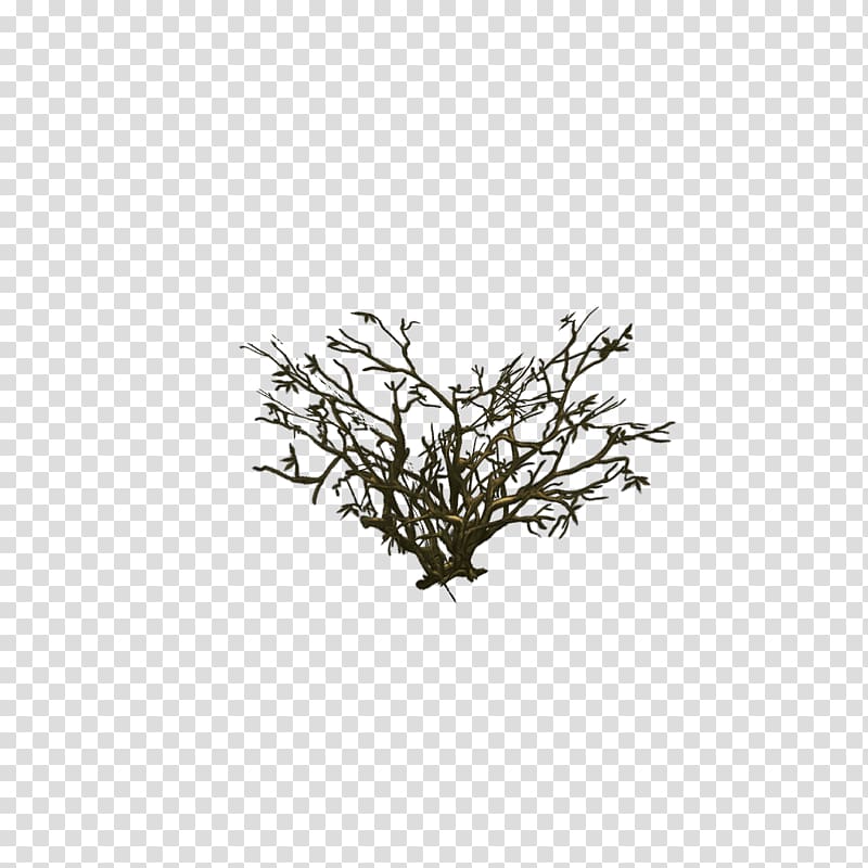 Low poly Twig Painting 3D modeling Texture mapping, dead tree material transparent background PNG clipart