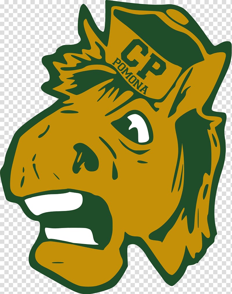 California State Polytechnic University, Pomona California Polytechnic State University Cal Poly Pomona Broncos men\'s basketball Adapted physical education, pomo transparent background PNG clipart