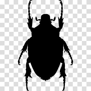 Beetle Mosquito Pest Ladybird , beetle transparent background PNG clipart thumbnail