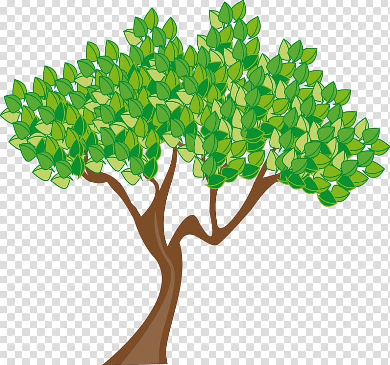 Tree Summer , Money Tree transparent background PNG clipart