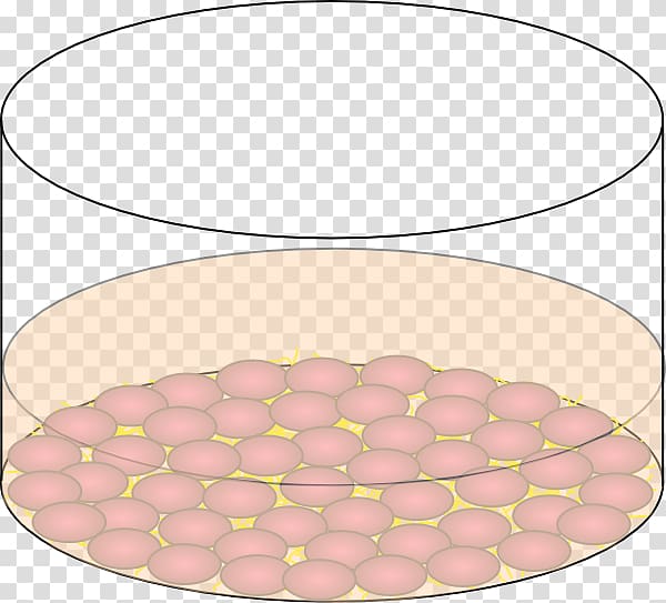 Extracellular matrix, cells transparent background PNG clipart