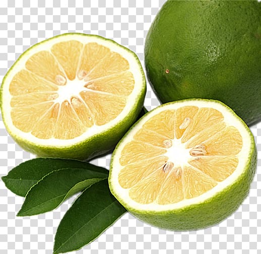 Bergamot orange Bitter orange Citron Lemon Citrus myrtifolia, Sentimental lemon transparent background PNG clipart