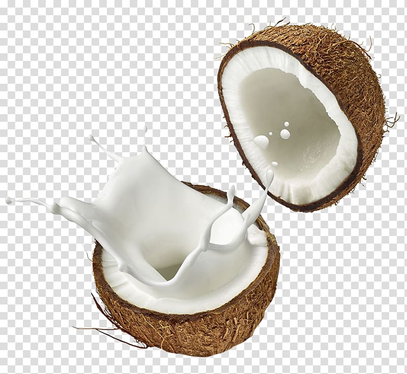 Coconut transparent background PNG clipart | HiClipart