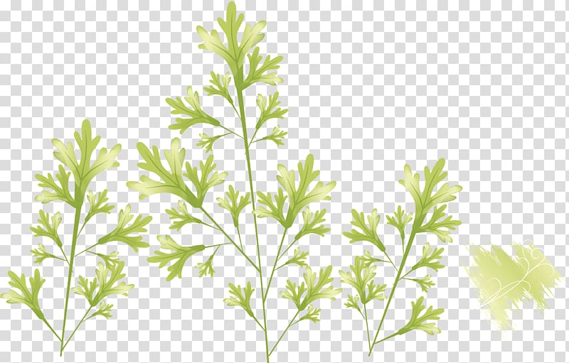 Leaf Illustration, Green grass background material transparent background PNG clipart