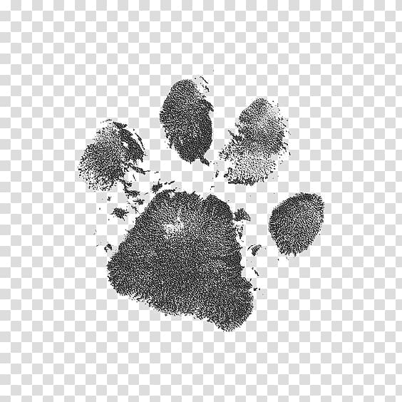 paw prints transparent background PNG clipart