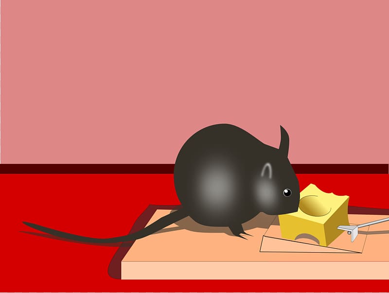 Mousetrap Rodent Rat Bait, rat transparent background PNG clipart