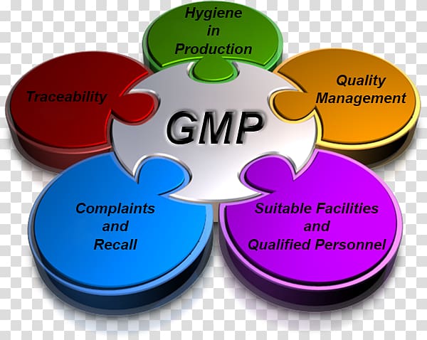 Good manufacturing practice Agile software development Governance Project management DevOps, environmental protection industry transparent background PNG clipart