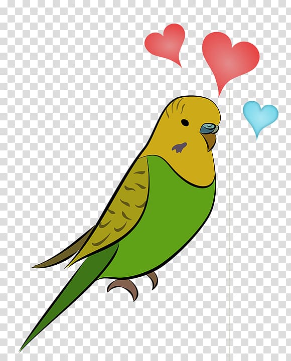 Budgerigar Bird Parrot Parakeet Cockatiel, Bird transparent background PNG clipart