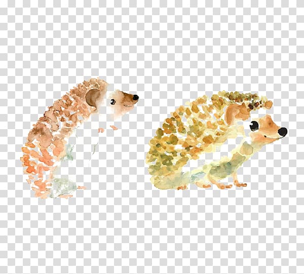 Baby Hedgehogs Drawing Watercolor painting Illustration, Hedgehog transparent background PNG clipart