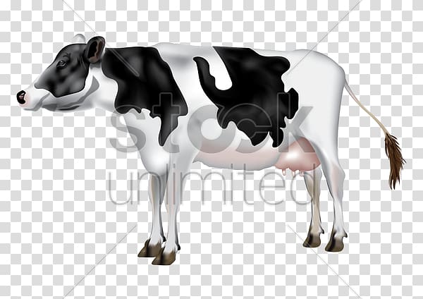 Dairy cattle Calf Milk, Mastitis In Dairy Cattle transparent background PNG clipart