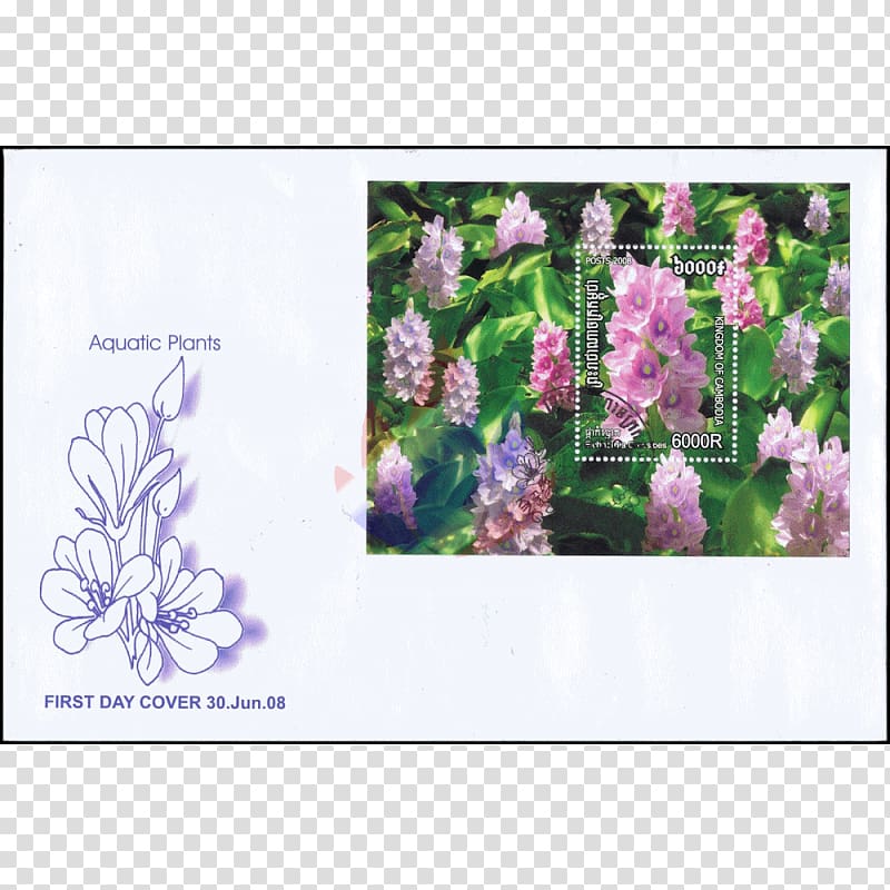 Postage Stamps Lavender Flora Flower, Alternanthera Reineckii transparent background PNG clipart