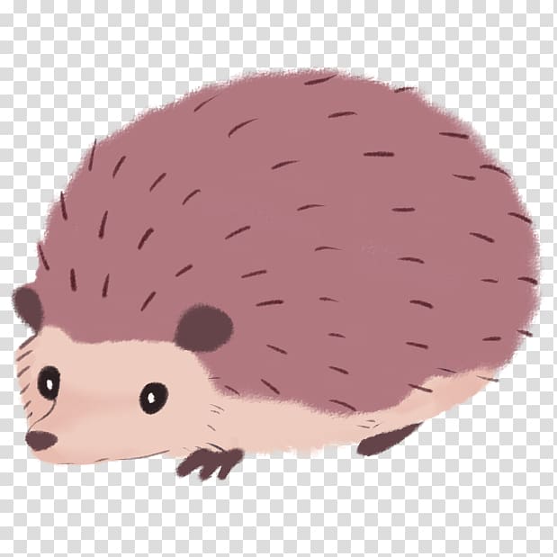 Hedgehog Desktop , hedgehog transparent background PNG clipart