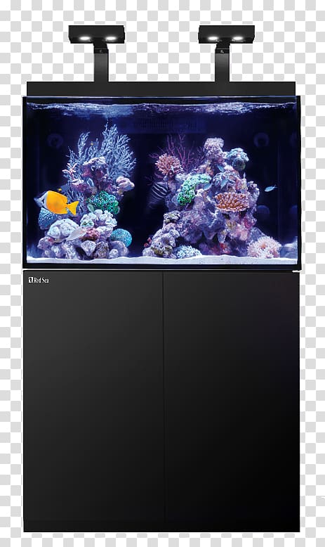 Red Sea Reef aquarium Coral reef, aquariumlighting of the seawater transparent background PNG clipart