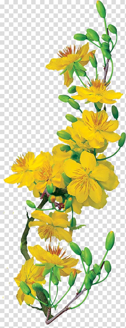 Hoa mai với màu vàng tươi sáng và những cánh hoa đầy năng lượng luôn khiến chúng ta cảm thấy tự tin và nhiệt huyết. Hình ảnh của hoa mai là một biểu tượng cho sự đoàn kết và sự kiên cường trong cuộc sống.