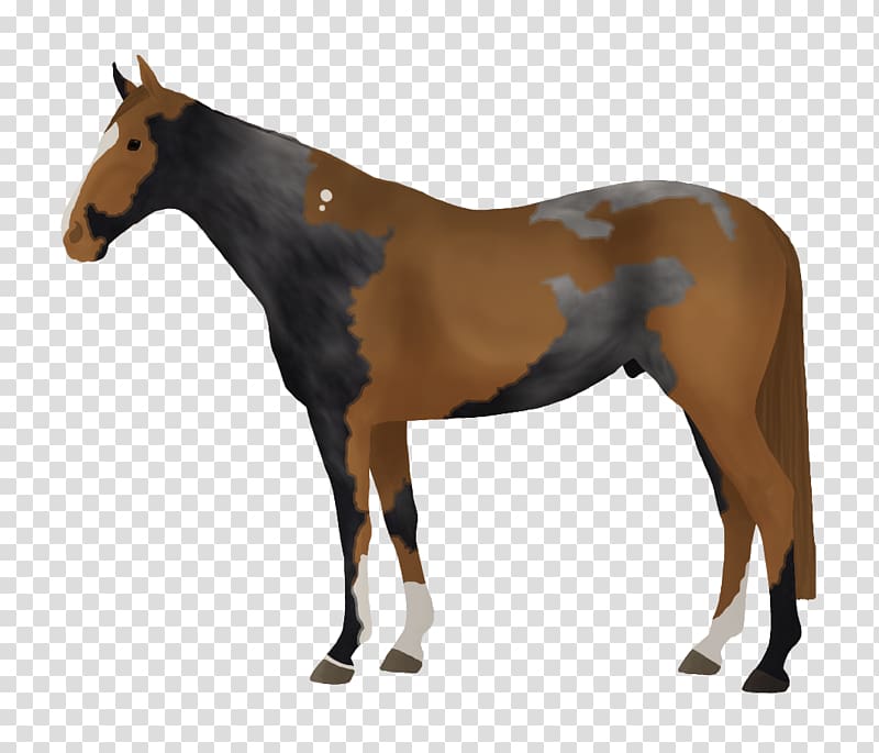 Thoroughbred Stallion Mare Horse Tack Horse racing, Curry Bowl transparent background PNG clipart