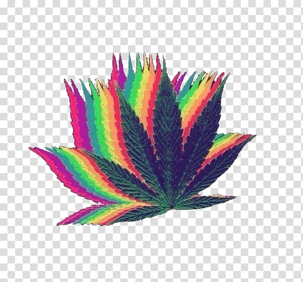 Desktop Cannabis smoking Rastafari, cannabis transparent background PNG clipart