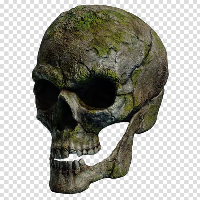 Skull Filename extension, skull transparent background PNG clipart