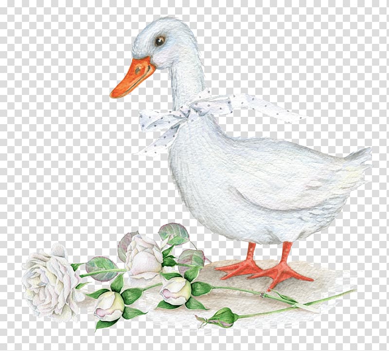 American Pekin Duck Bird, Ducks and flowers transparent background PNG clipart