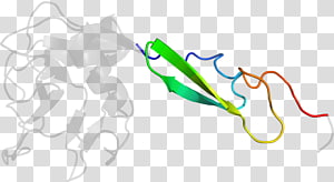 Line Point , line transparent background PNG clipart thumbnail