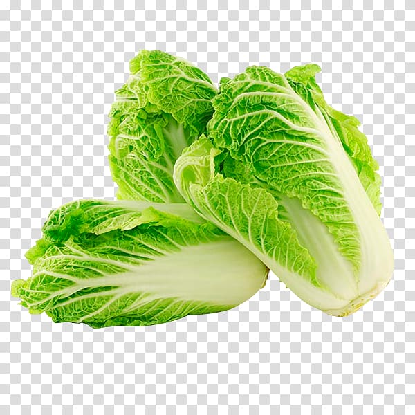 Chinese cuisine Napa cabbage Chinese cabbage Vegetable, cabbage transparent background PNG clipart