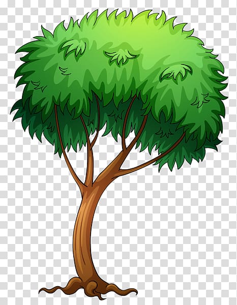 Tree , TREE CARTOON transparent background PNG clipart