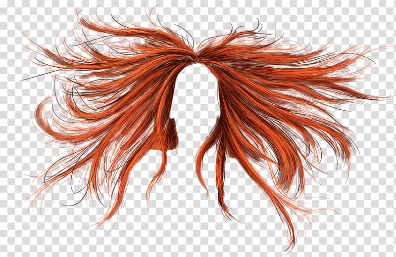 Hairstyle Wig Brown hair, long hair transparent background PNG clipart